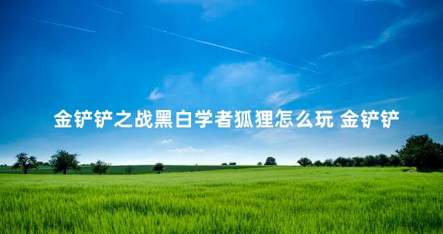 金铲铲之战黑白学者狐狸怎么玩 金铲铲之战阿狸